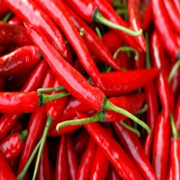 Fresh Red Chili